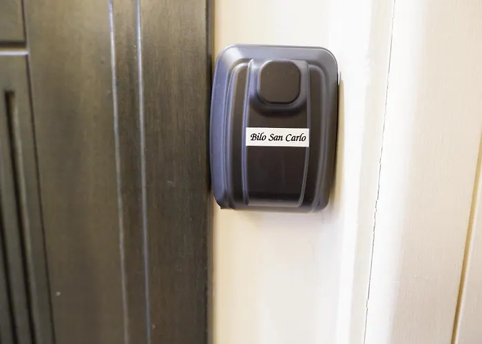 Ynh Bilo Sancarlo Museo Egizio Piazza San Carlo דירה